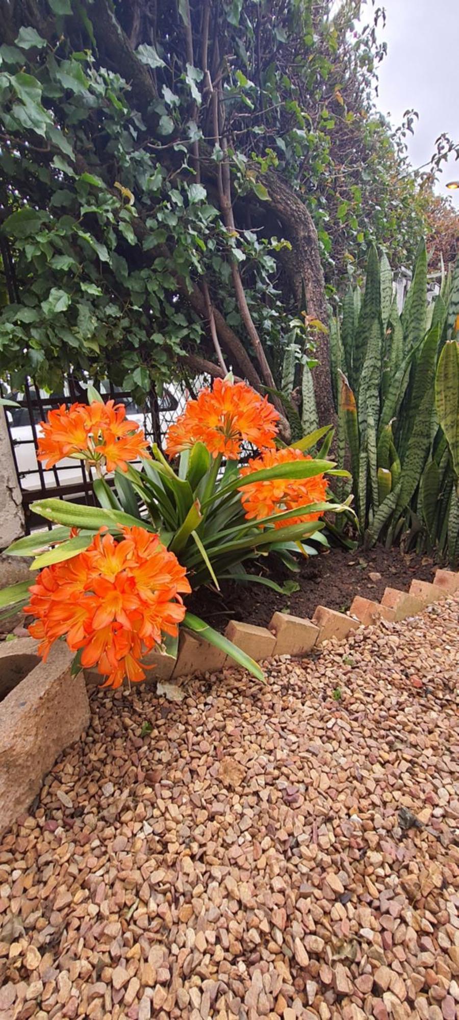 The Lenox Hostel Cape Town Ngoại thất bức ảnh